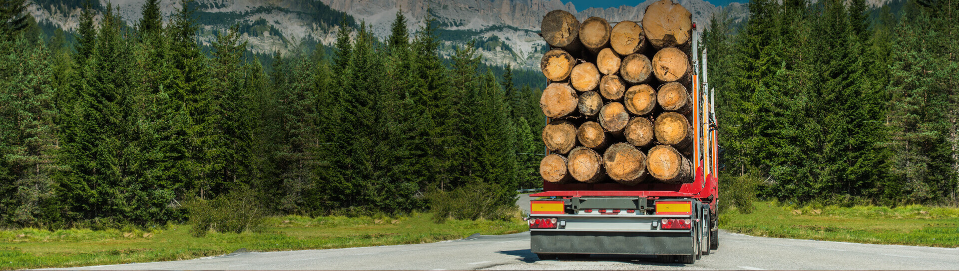 Sustainable Forestry